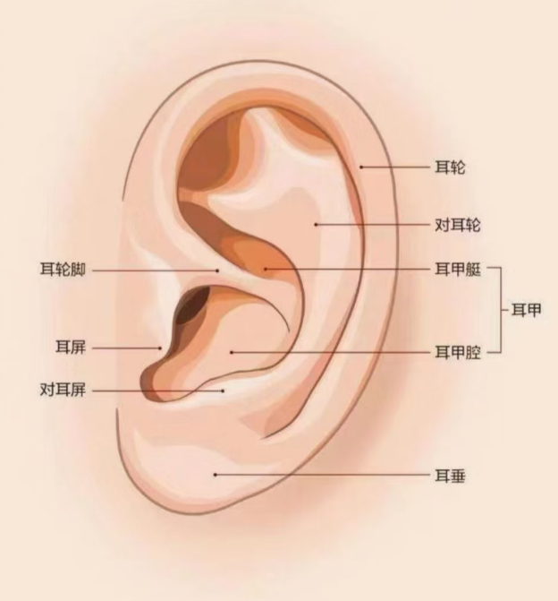 从耳夹到半入耳，HUAWEI FreeBuds 6 凭什么让我果断换新？